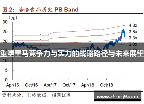 重塑皇马竞争力与实力的战略路径与未来展望 重塑皇马竞争力与实力的战略路径与未来展望