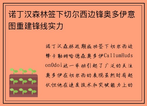 诺丁汉森林签下切尔西边锋奥多伊意图重建锋线实力 诺丁汉森林签下切尔西边锋奥多伊意图重建锋线实力